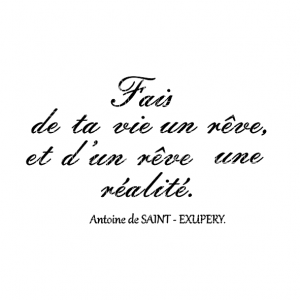 Pochoir Fais de ta vie, citation, texte, saint-exupery, france, blois, loir et cher