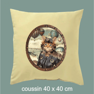coussin chat punk, montgolfiere, portrat, dumazel, dumasel, france, blois, ciel, loir et cher.