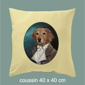 coussin chien labrador, costume, deguisé, dumazel, france, blois, loir et che
