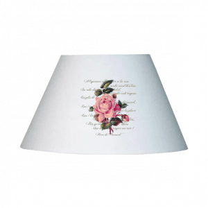 coupon abat-jour conique rose e ronsard, blois, france, loir et cher, dumazel, dumasel, rose, abat-jourr