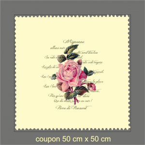coupon rose de ronsart, coupon imprimé, fleur, coupon dumazel