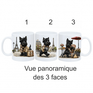 VIsite à Paris