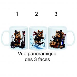 le Ski