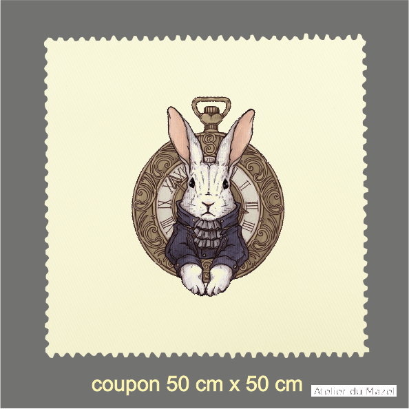 Coupon l'heure lapin, alice, montre, reveil, dumazel, france, blois, loir et cher
