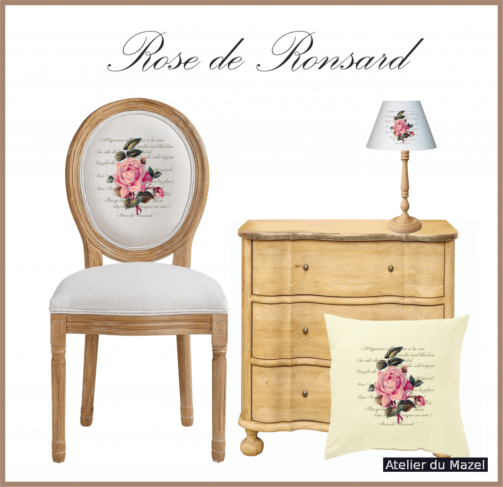 rose ronsard présentation