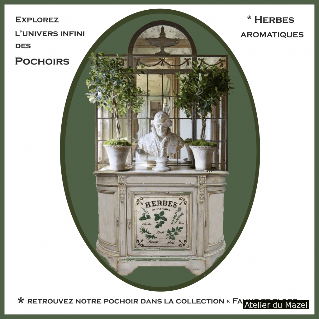 herbes aromatiques