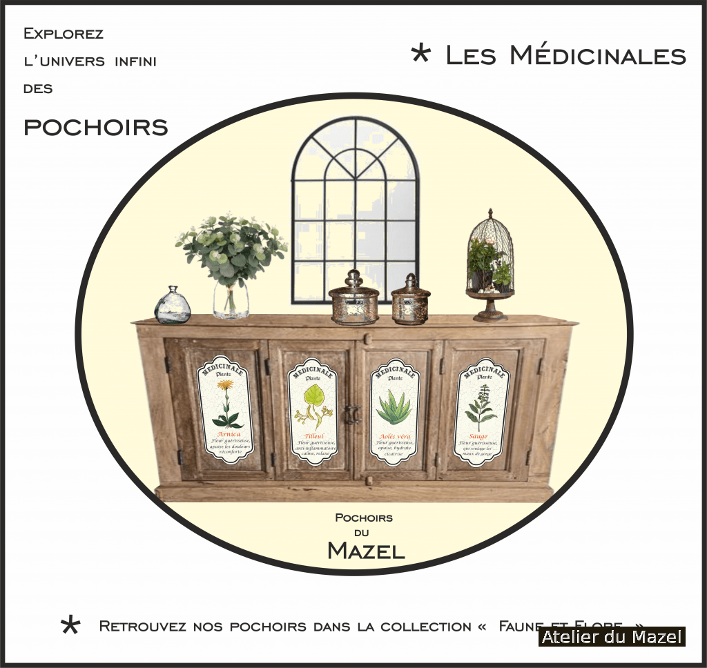 etiquette medicinales